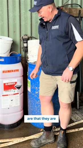 Glyn from DASCO is talking about one of the benefits of our chemicals ♻️ Products like Eliminate, Rev Wash, and all our iodines are certified organic. It’s not just a label, they're tested to be safe to use anywhere on the farm. Reach out to our DASCO team if you are interested in switching to our chemicals for your dairy. https://www.daviesway.com.au/home/contact #Daviesway #DASCO #DairyChemicals #CertifiedOrganic #OnFarmSupport #DairyFarming | Daviesway DASCO Dairy Supplies