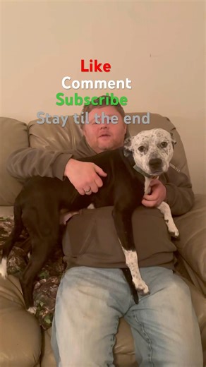 A moment in a #hospital elevator #storytime with #rescuedog Freya