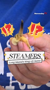 64K views · 731 reactions | You've truly become a Long Islander local when you can take down a bowl of steamers. Come along as we take you through a guide to steamer clams! For the full video and article, click the link: https://nwsdy.li/3VdXR5M #longisland #steamerclams #clams #seafood #newyork | Newsday | Facebook