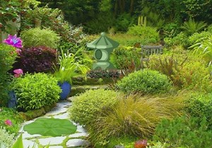 Japanese Garden Escape - Escape Fan