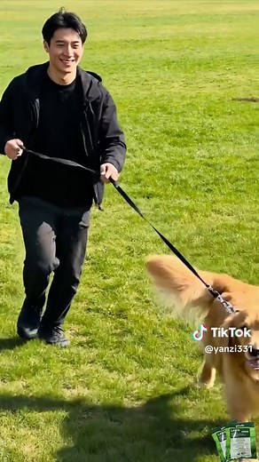 Transform Your Lawn with Easy Lawn Care Tips