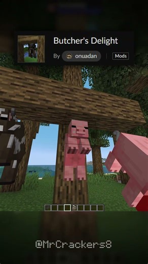 AMAZING Minecraft Mods #9 #minecraft #minecraftmods