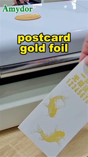 Amydor 360D auto feed foil printer for postcards,cards,pvc