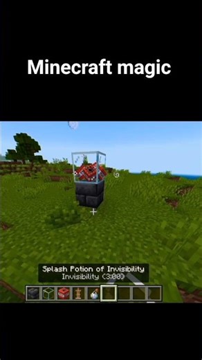 Mincraft magic #minecraft #shorts