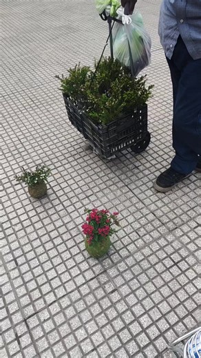 Videos de Erika Mabel Martinez Arancibia (@erika.mabel.marti) con “sonido original - Erika Mabel Martinez Arancibia”