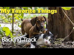 My Favorite Things (Emi) || Straight 8ths Backing Track || Play Along