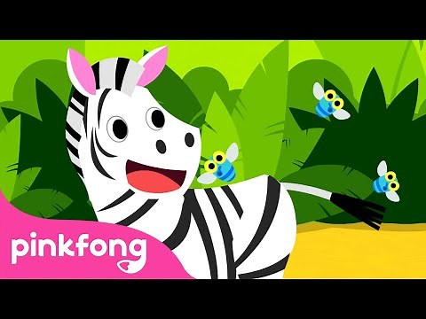 ¡Cebra Cadabra! | 🦓 Cebra | Canciones de Animales | Pinkfong Canciones Infantiles