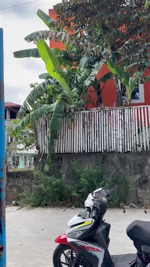 #MemeCut #CapCut #miom3sulawesi🏁 #mioi125 #Meme