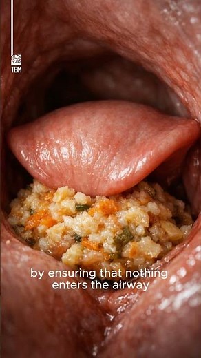 Lung Protection During Swallowing