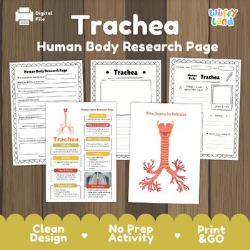Trachea Human Body Research Project | Windpipe Respiratory System Science Text