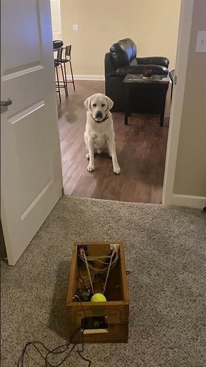 DIY Dog Ball Launcher