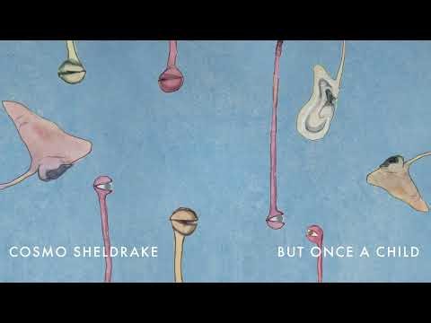 Cosmo Sheldrake - But Once A Child