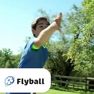 1.3K reactions · 162 shares | 累 헙헟헬헕헔헟헟™ este o jucărie sportivă interactivă care se transformă dintr-un disc zburător într-o minge   bit.ly/flyball_ro | HappyKoala.ro | Facebook