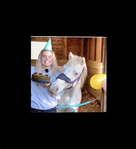 oh shizzle✨ on TikTok