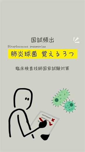【肺炎球菌覚える3つ】 #検査技師学生 #臨床検査技師 #感染症 #肺炎球菌 #微生物学