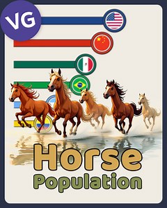 Top Countries by Horse Population. | VGraphs