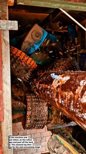 Automatic Log Debarker Machine 🌲🔥