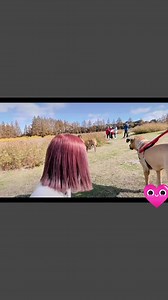 WELCOME TO OUR FIRST LONG VLOG 🤣🤣🤣 Kayo nalang umintindi sa salita namin ❤️🤣🤣 #japan #hanami #ebino | Japinay Couple