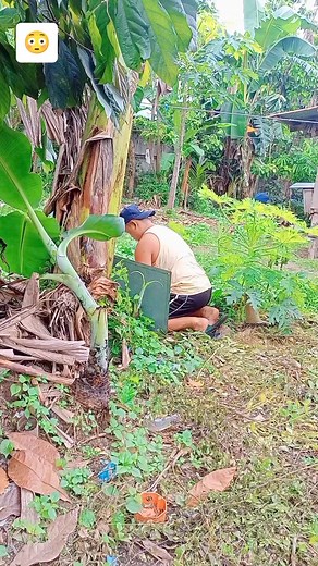 Wow Mali #fypシ゚viralシ #reels #comedy #memes #funny #goodvibes #virals #viralreelsfb | Jeff Raz