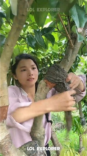 She’s cloning trees without planting a single seed!🌳🤯#shorts