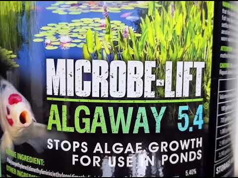 Microbe-Lift/Algaway 5.4