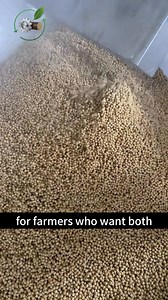 90 reactions · 22 comments | Here is our 350 kilograms per hour floating fish feed extruder, designed for efficient aquaculture feed production. During this test run, the machine creates high-quality floating pellets with stable performance. Producing your own feed means lower costs, better nutrition control, and healthier fish growth. It’s the smart choice for farmers who want both quality and profitability. | Machine expert | Facebook