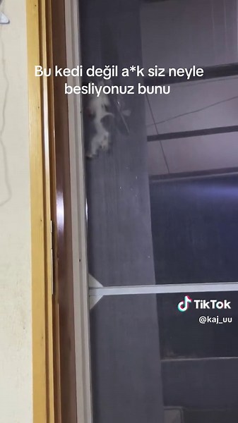 Utanmasa kapıyı açacak 🤨 Arkadaşlar diğer gönderilere de bi el atarmısınız size zahmet 🫡