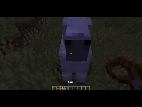 How To Ride A Horse In Minecraft! ( Java )