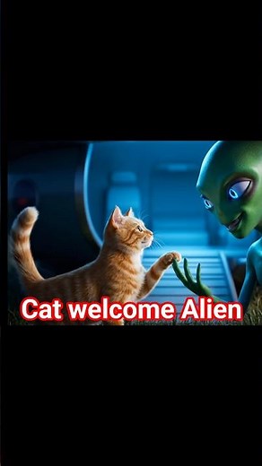 Cat & Alien #cat #funny #alien #animals #animation