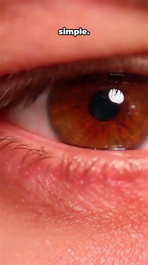 Why Is Your Pupil a Hole? #eyes #pupil #didyouknow #science #interestingfacts #humanbody #eyefacts