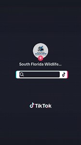 2.3K views · 24 reactions | During this time of year, it is common to...