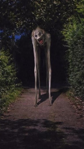 Who is Clip Klop #trevorhenderson