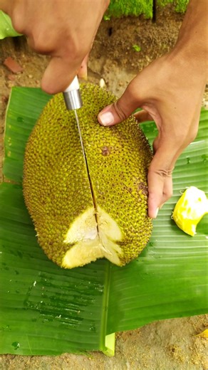 Ripening jackfruit #shorts