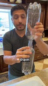 Fun At Home Experiment! | The Science Guy