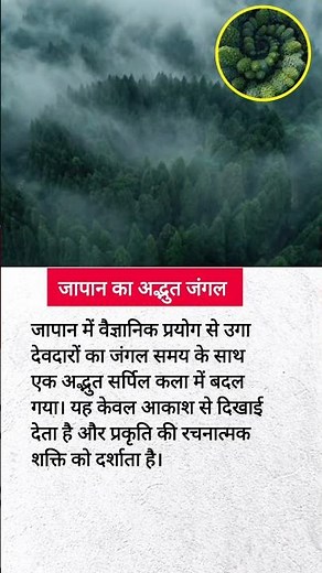 जापान का अनोखा जंगल #trending #forest #explore #japan #facts #space #youtubeshorts #gk