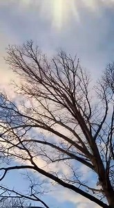 Faith looks different to everyone | Pastor Jason Answers