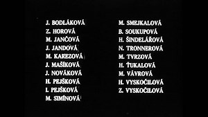 A Report On The Party And Guests