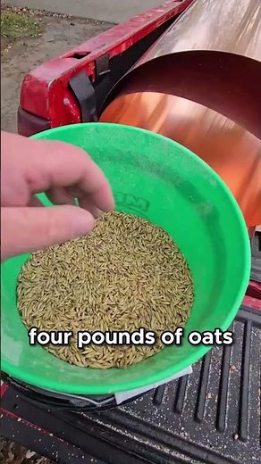 Turning Corn into Mash Step by Step Guide! #distillation #homebrew #moonshine