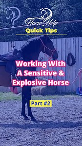 30K views · 409 reactions | Quick Tips On Working With A Sensitive & Explosive Horse! Part 2 Want To Learn More? Visit The Link In My Bio! #horsetraining #horse #trainer #horsetrainer #trainingvideos #traininghorses #horses #horsehelp | Horse Help With Michael Gascon | Facebook