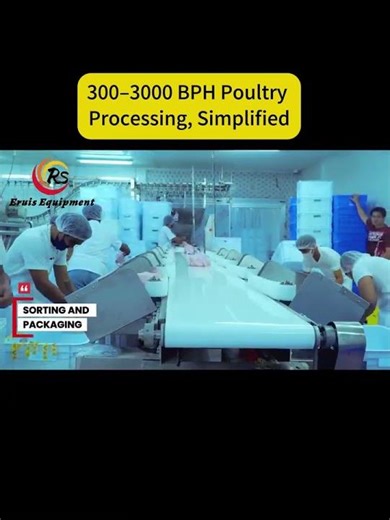 Eruis: Your All-in-One Poultry Processing Powerhouse