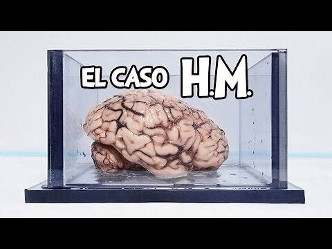 Un hombre sin memoria | El caso del paciente HM
