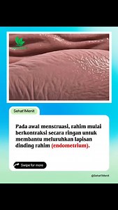 Proses terjadinya kram/sakit perut saat menstruasi😳😓 #reels #fyp #jangkauanluas #trending #menstruasi | Sehat1Menit