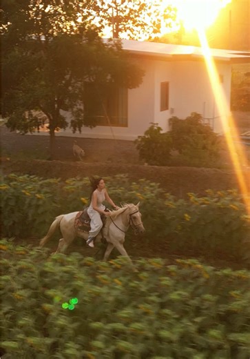 วิดีโอของ Nimzie_joop 🫦🧿 (@nimzie_joop) พร้อมเพลง original sound - allybarofficial