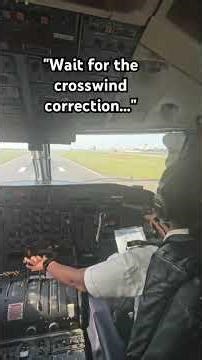 Watch for the crosswind correction... 🧈 #educationalvideo #megaplane #perfectlanding #shorts #pilot