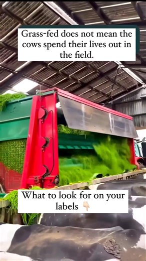 8.3K views · 72 reactions | This is why #grassfedbeef isn’t what you want anymore. As soon as #bigcattle knows you want healthy they figure out a way to make it not good. Always go for heritage pasture raised grass finished. Help out https://rockravenfarms.com for real, truly healthy beef | Ask Dr. Ernst | Facebook