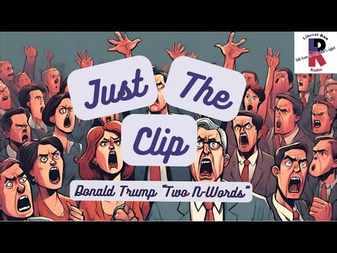 Just The Clip: Donald Trump says that there are "two n-words"