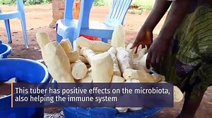 8 Health Benefits of Cassava