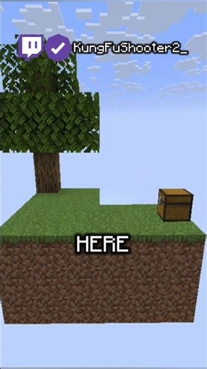 CAN I SURVIVE SKYBLOCK? | Minecraft 1.21.11 Skyblock Series Ep 1 (EXPLAINED)