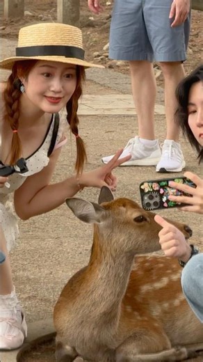 楽し過ぎる奈良公園🫎観光客も満喫