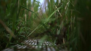 Take a look inside a sea level rise time machine